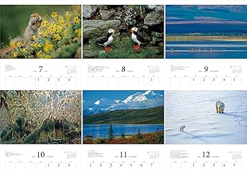 カレンダー2026 星野道夫ベストセレクション 極北の動物たち（月