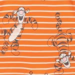 Disney Winnie the Pooh Mickey Mouse Tigger Baby 2 Pack Henley Rompers Newborn to Infant