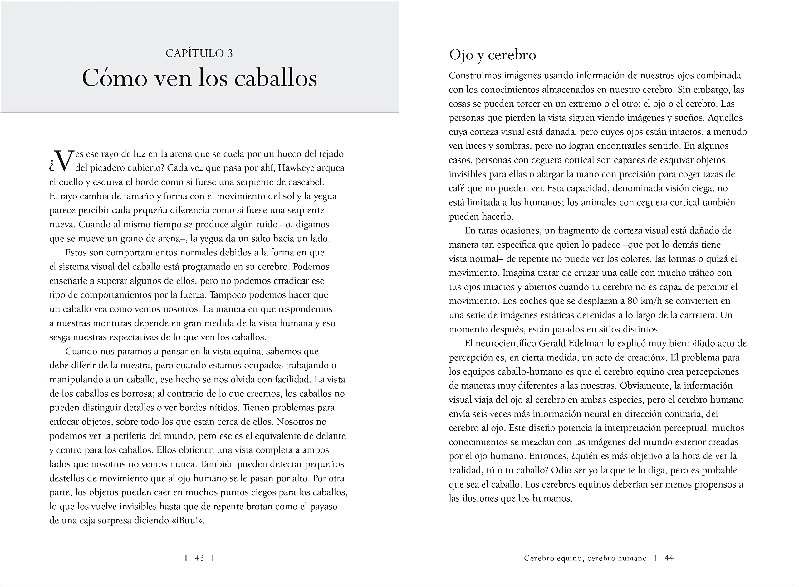 Cerebro equino, cerebro humano: La neurociencia de la equitación (SIN COLECCION)