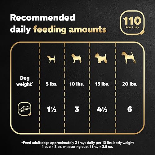 Miniatura 7 de CESAR CLASSICS - Pan in Sauce - Alimento húmedo gourmet para perros paquete de 24