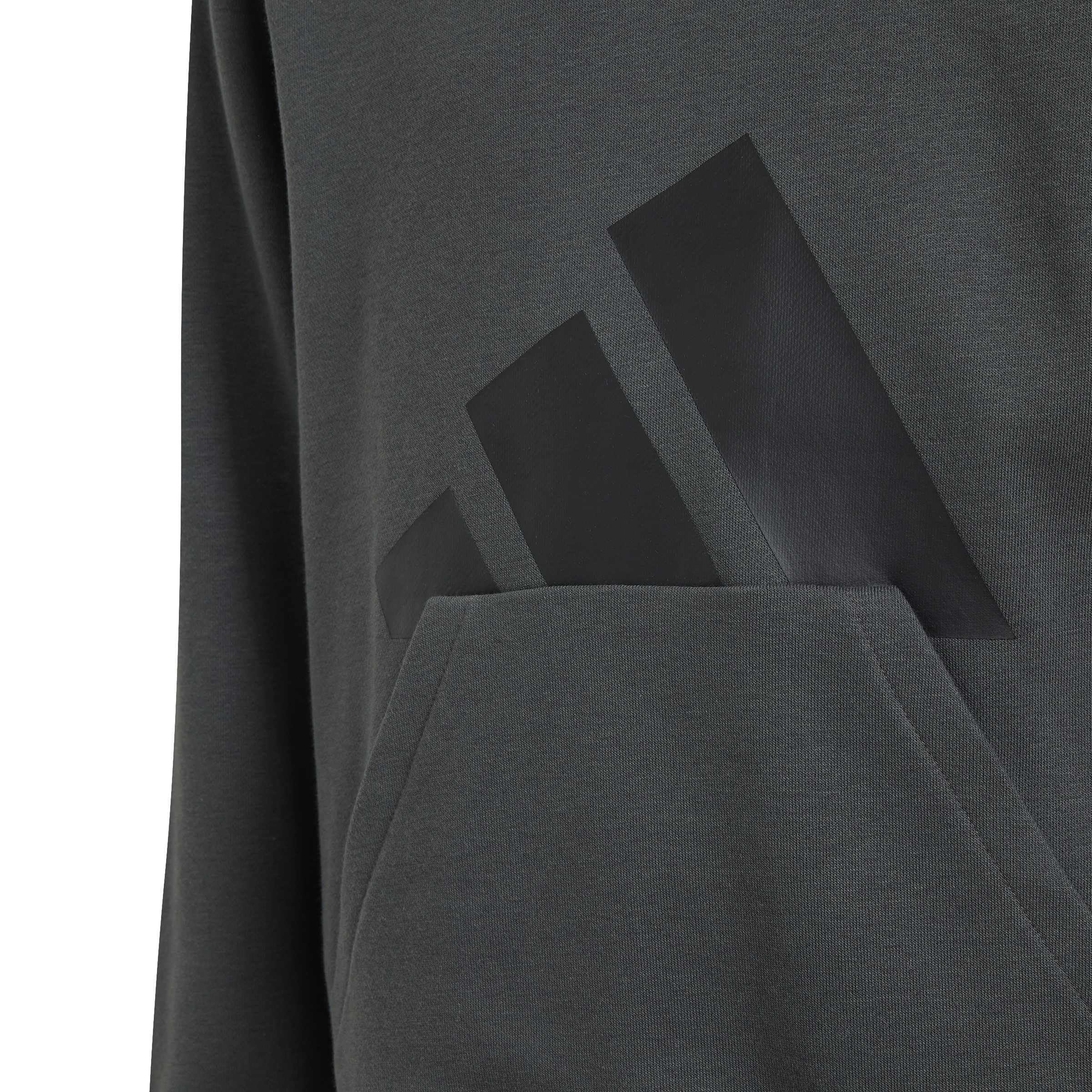 adidas Uniseks - dzieci Essentials Big Logo Hoodie Sweatshirt, grey six/black, 15-16 Years