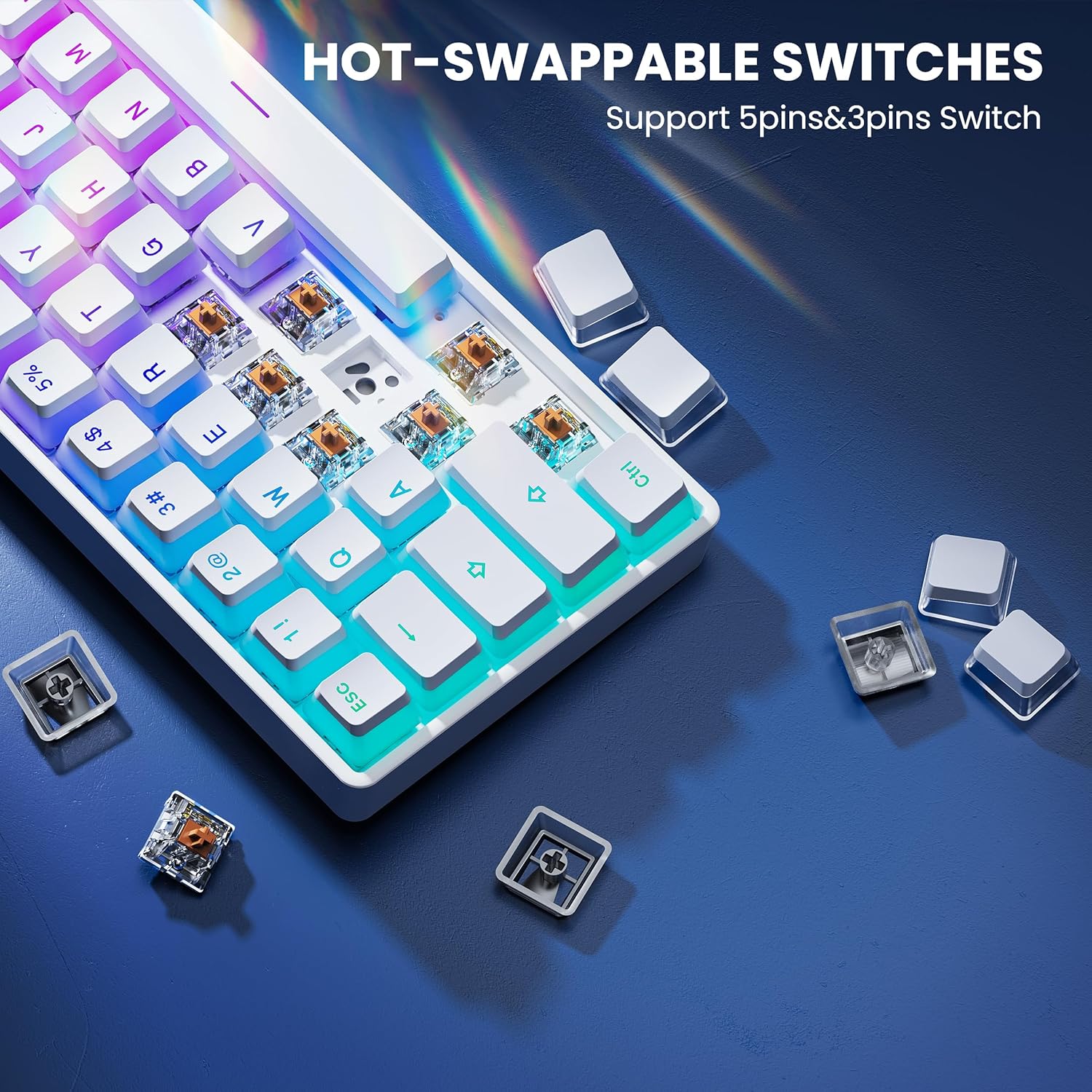 Gaming Keyboard: SHURIKEY GEAR Hotswap - Compact and Versatile for Gamers and Typists thumbnail 3