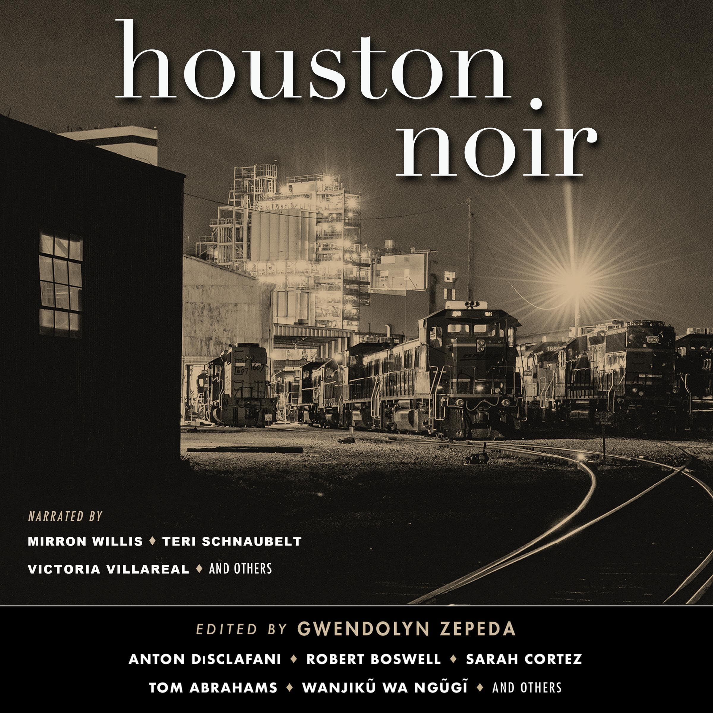 Houston Noir