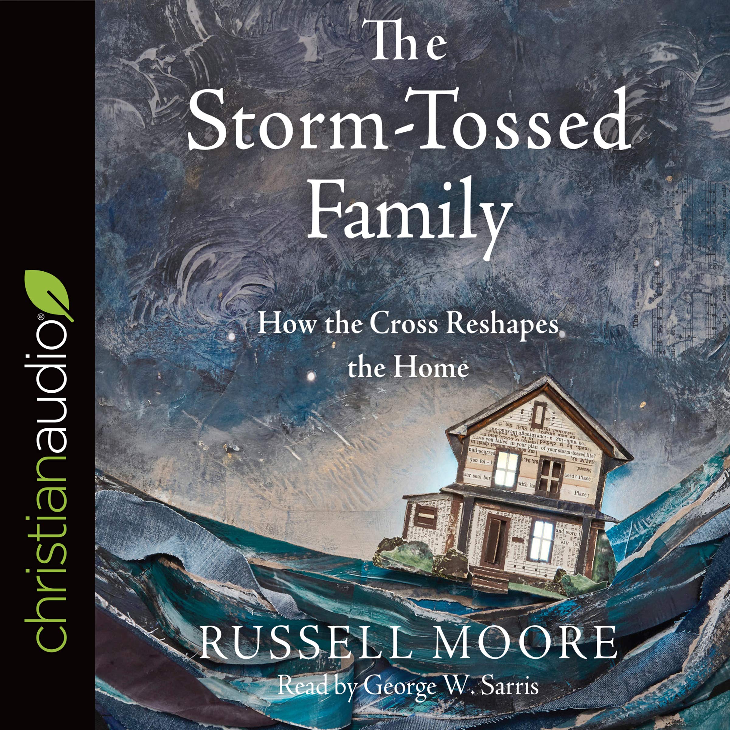 Cover art for The Storm-Tossed Family