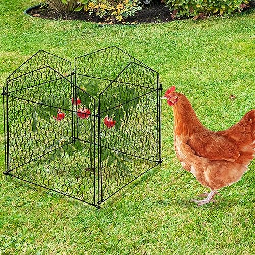 Vista 6 de DECOHS Paquete de 4 protectores de plantas de alambre de pollo para animales, protector de jaula de plantas de jardín, protectores de plantas