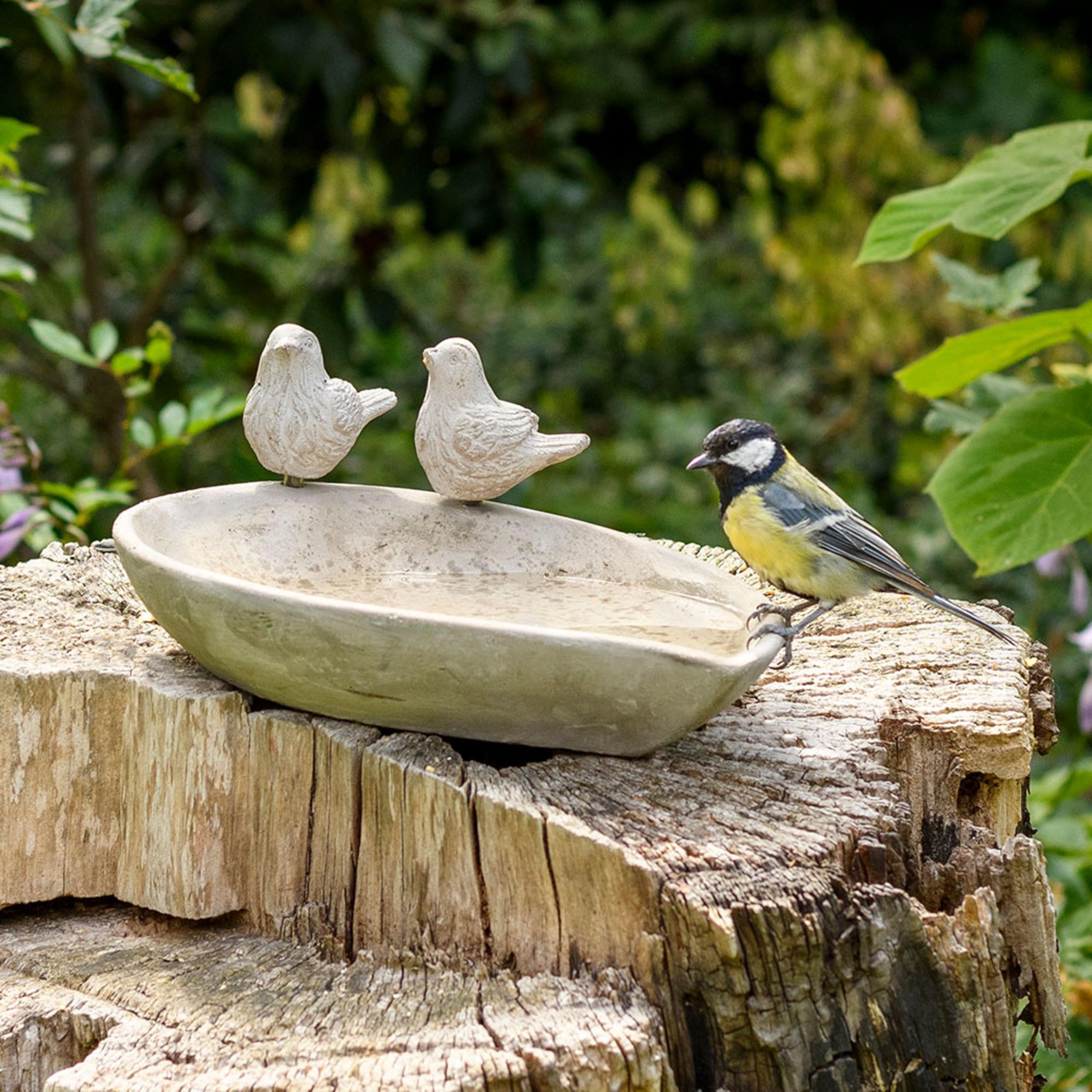 CJ Wildlife Stone Bird Bath for Garden – Bird Water Bowl – Multi-Feature Mammal Friendly – Graphite Grey Concrete