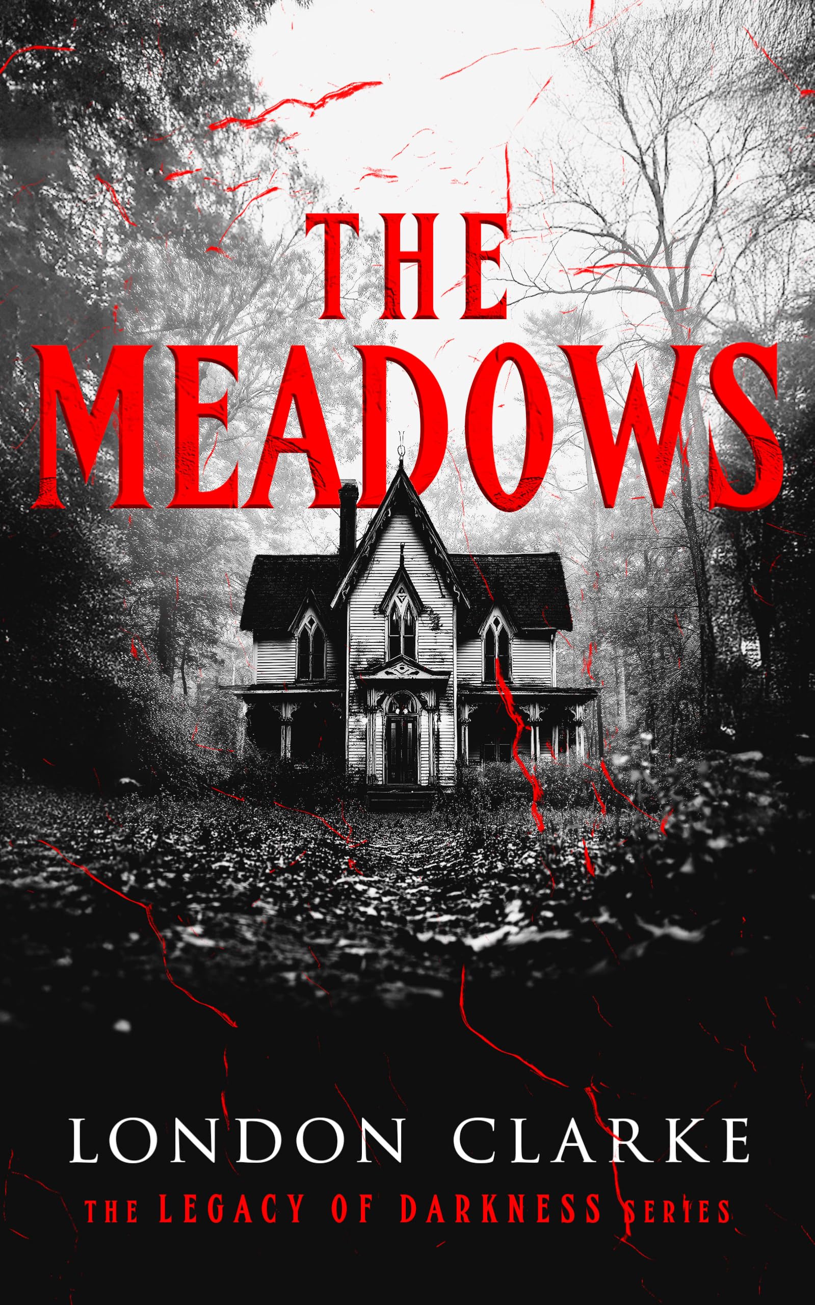 The Meadows: Book 1 of Legacy of Darkness Series