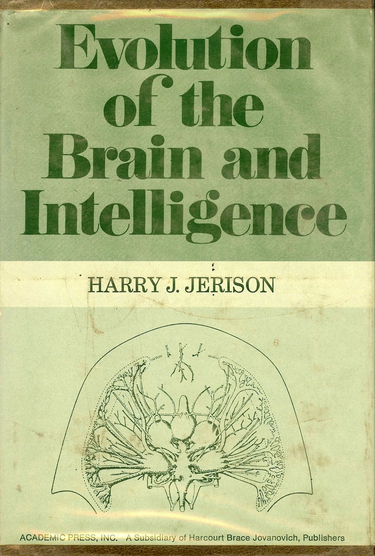 Buy Evolution of The Brain and Intelligence — BookShops.in