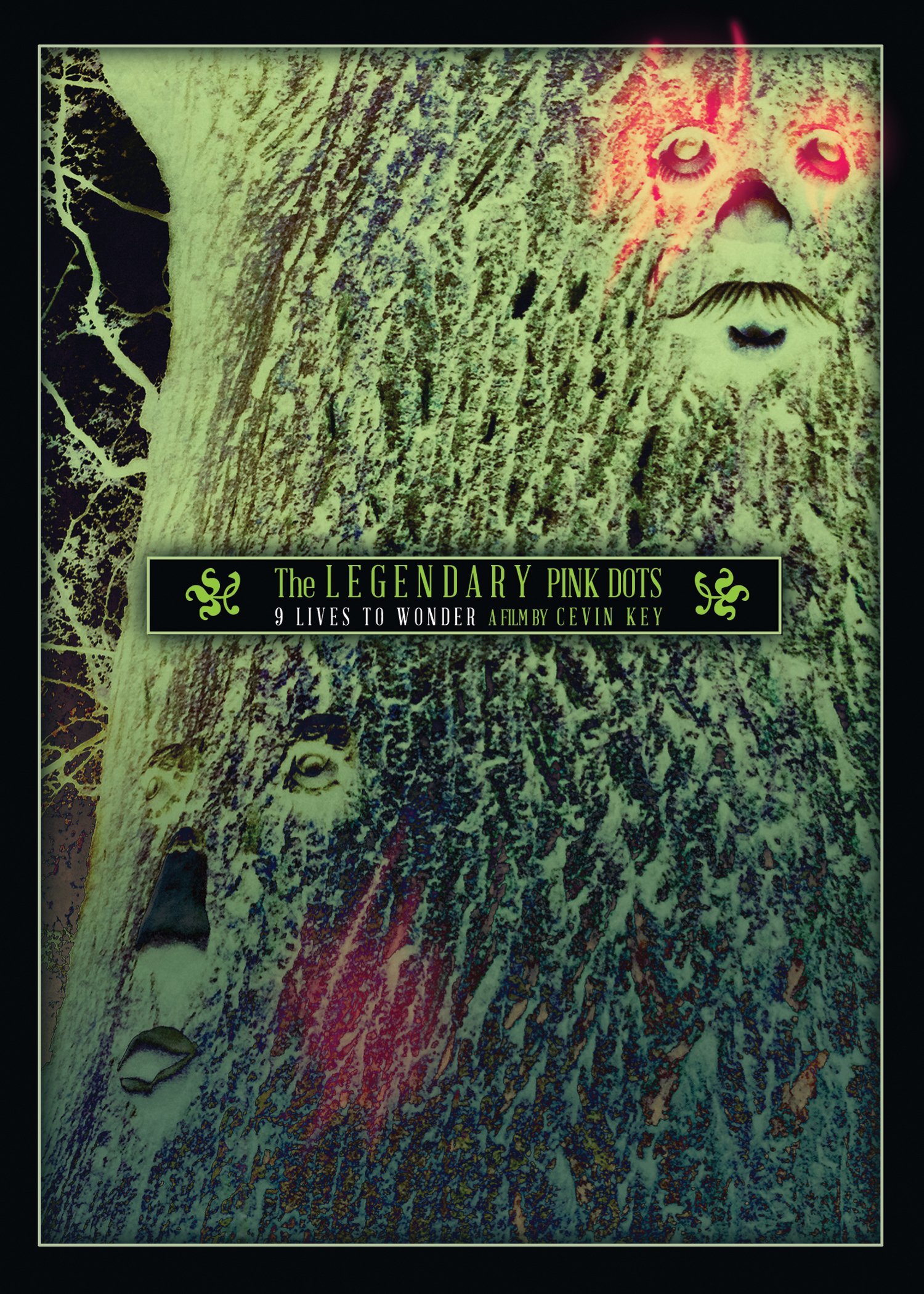 Legendary Pink Dots: 9 Lives to Wonder