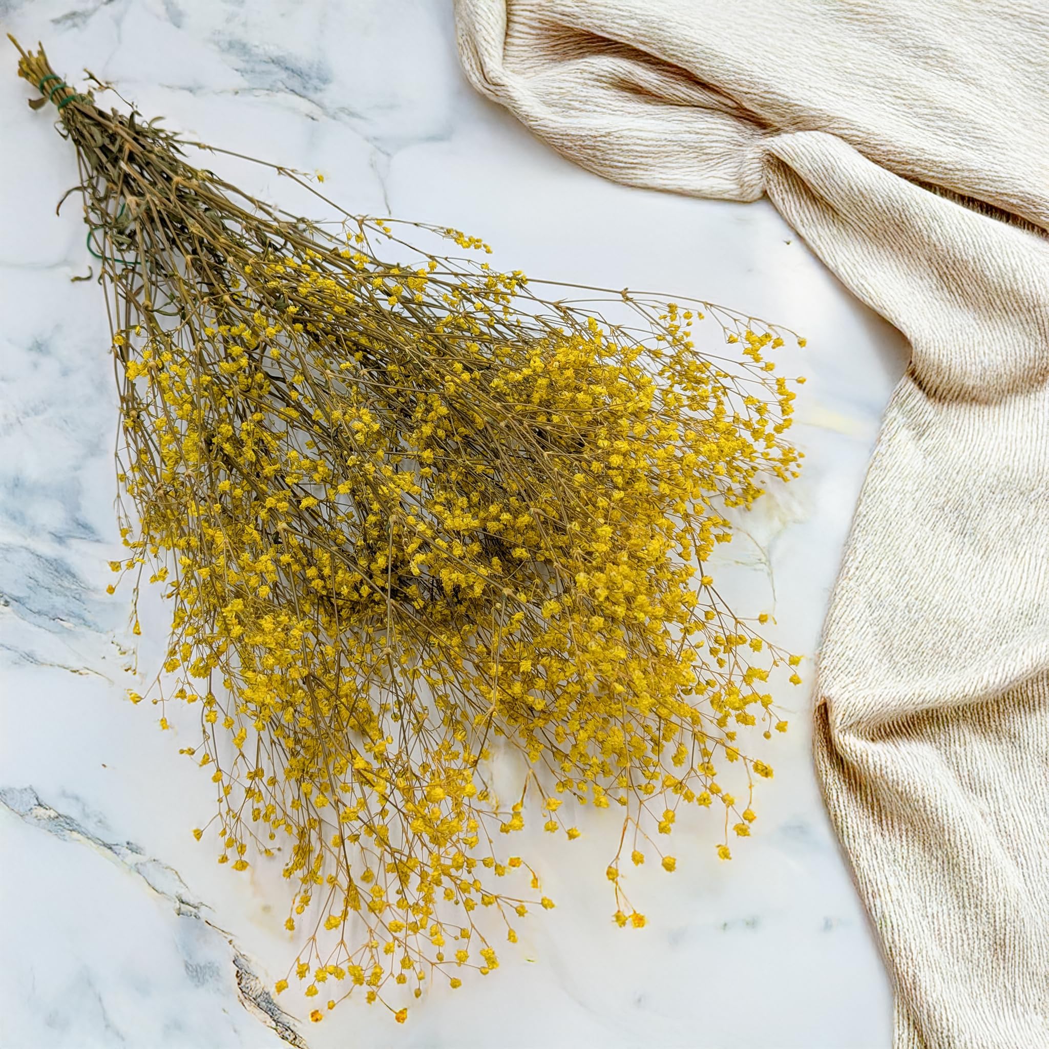 Enchanted Fleurs Séchées, Gypsophile Stabilisée, 120 g, Jaune Pastel