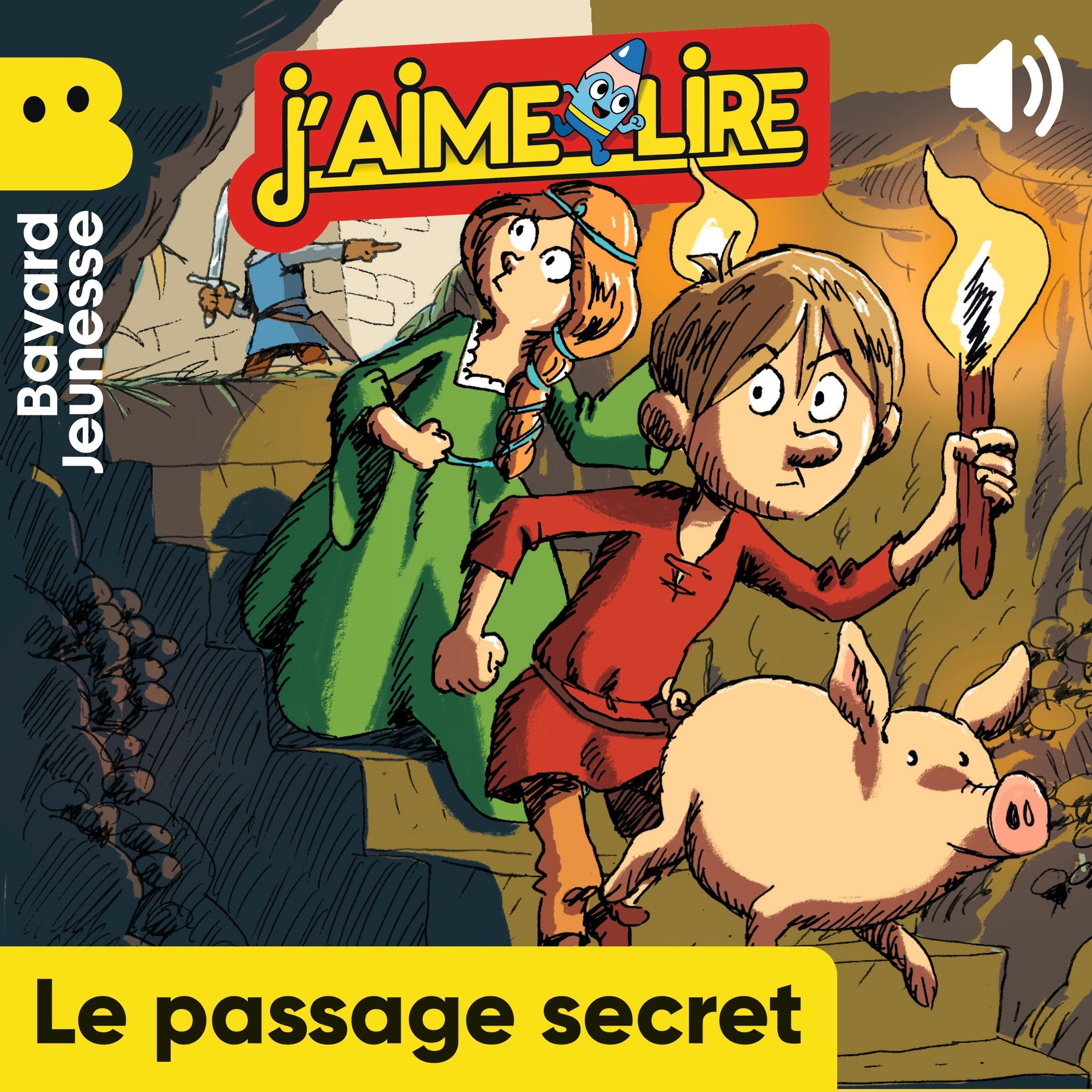 Cover art for Le passage secret