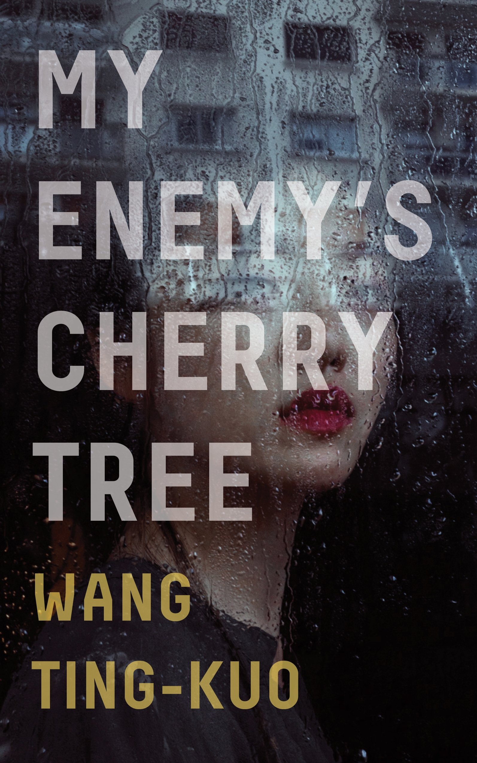 My Enemy's Cherry Tree by Ting-Kuo Wang PAPERBACK 9781846276583