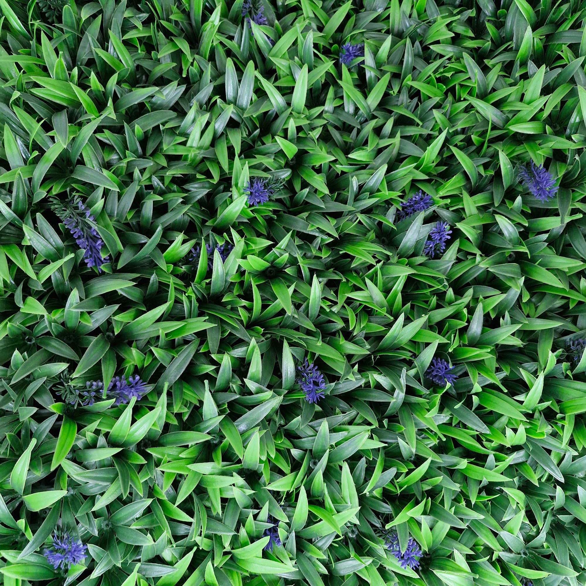 Panneau de lierre artificiel 3D TENAX Divy Panel Liriope 100x100 cm violet pour mur végétal