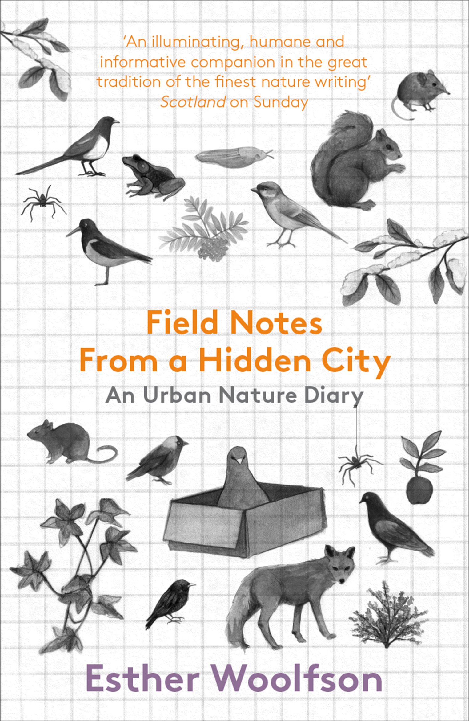 Field Notes From a Hidden City: An Urban Nature Diary
