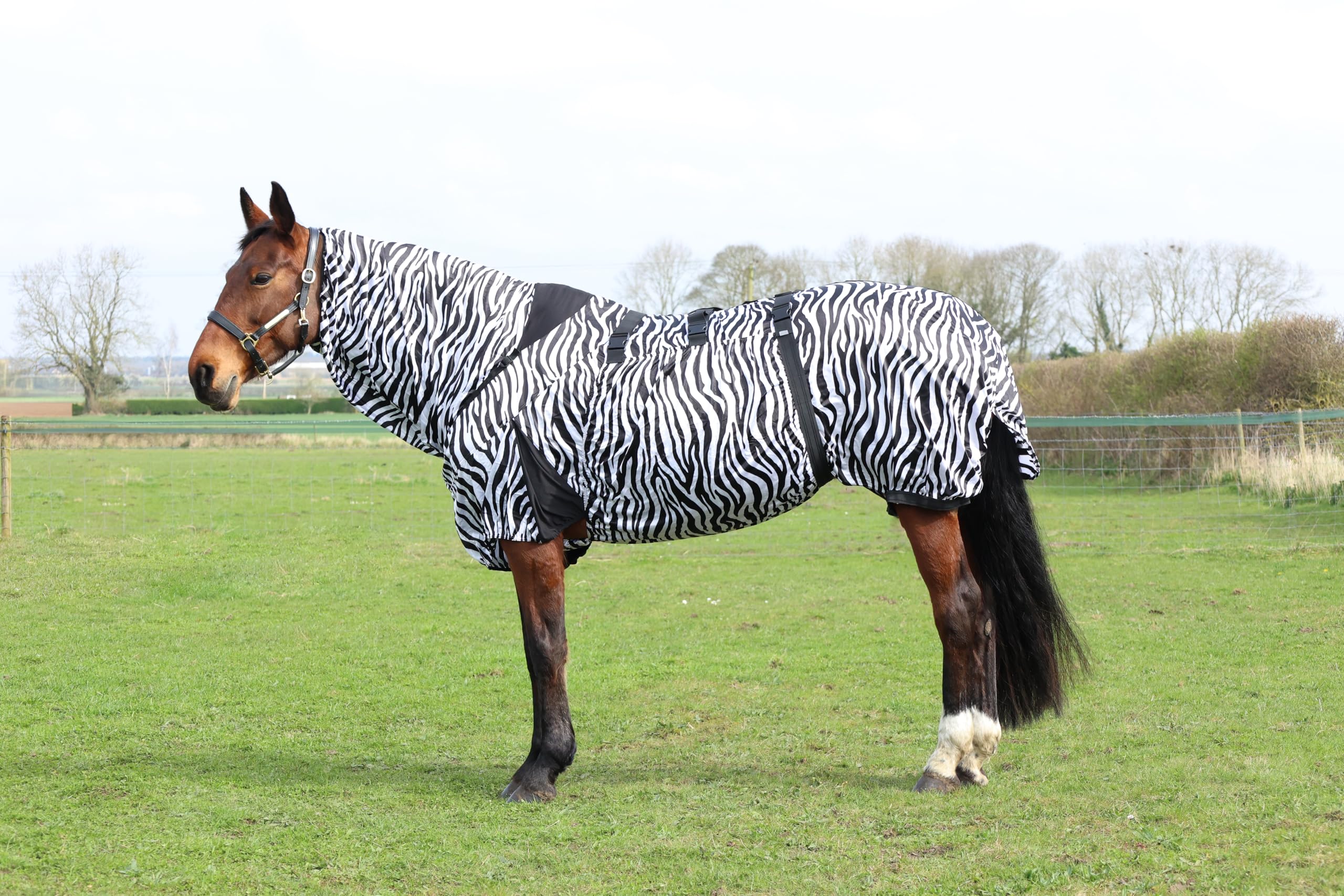 StormX Original Sweet Itch Zebra Rug - Black/White (5'6")
