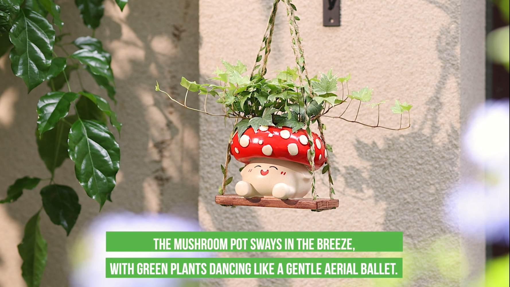money tree plant pots MONEY TREE 14 Pots  Lixin Florist 