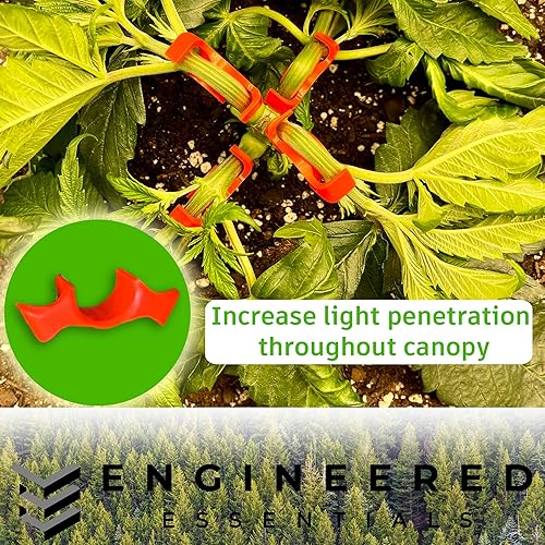 Miniatura 5 de Estados Unidos fabricó el entrenador original de plantas de 90 grados, para entrenamiento de bajo estrés (LST) y entrenamiento de plantas