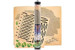 Family Tree Kit - Craft Your Family Legacy with Ease