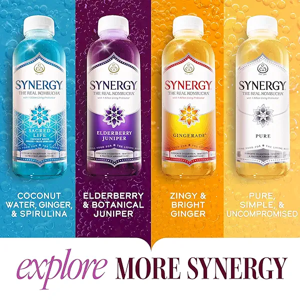 SYNERGY The Real Kombucha - Marine Greens - 16 fl oz Bottle - Raw Probiotic Drink for Gut Health and Immune Support 9