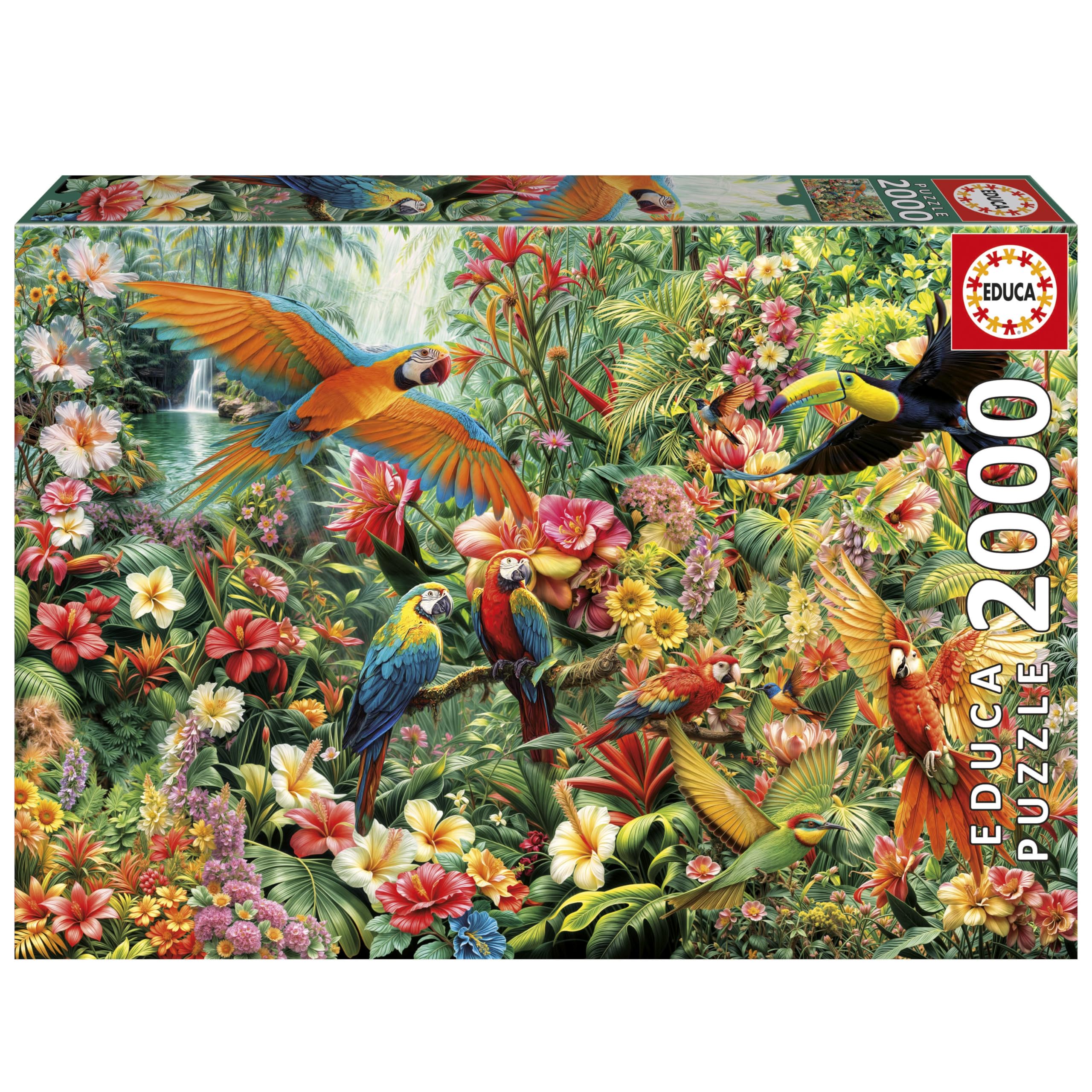 Educa - Puzzle de 2000 Piezas para Adultos | Aves del Amazonas | Medidas: 96 x 68 cm | A Partir de 14 años (20574)