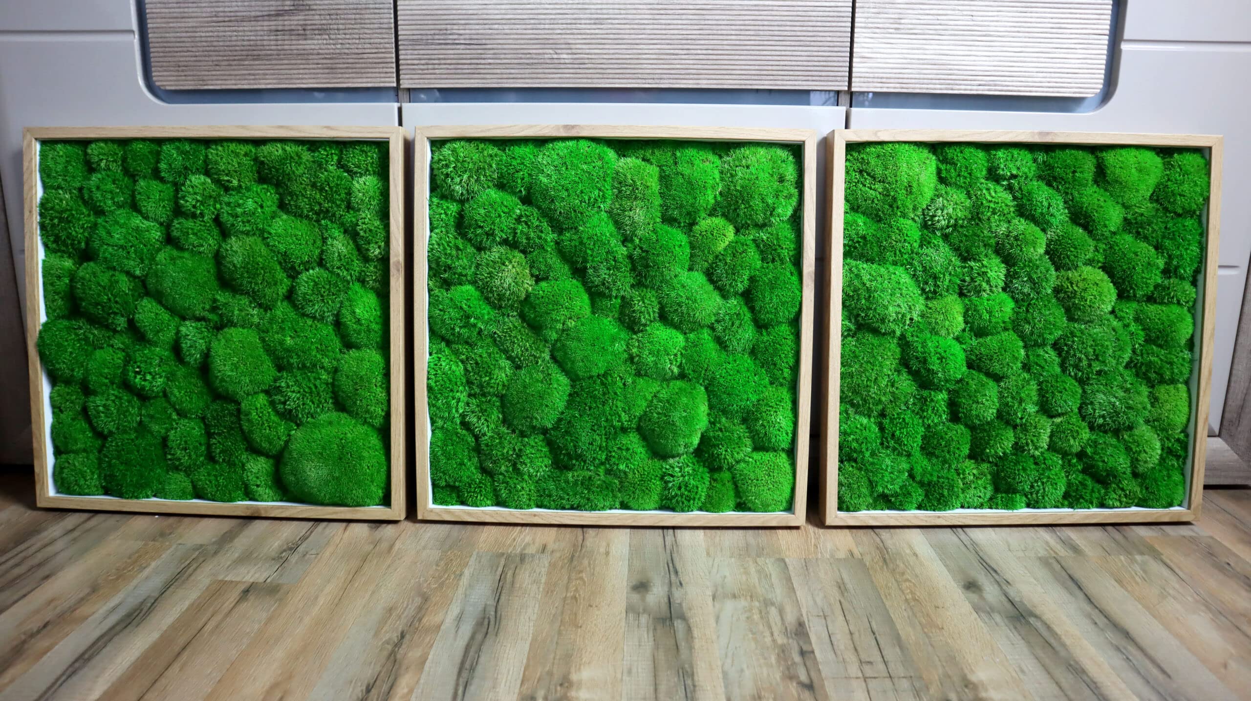 Hello Moss Moosbild - Rahmen mit Moos - Bilderrahmen mit Kugelmoos, Polstermoos - Moosbilder für Ihr Haus - verschiedene Großen - Handgefertigt Mooswand - Einzigartige Wanddeko (Weiß, 25x25cm)
