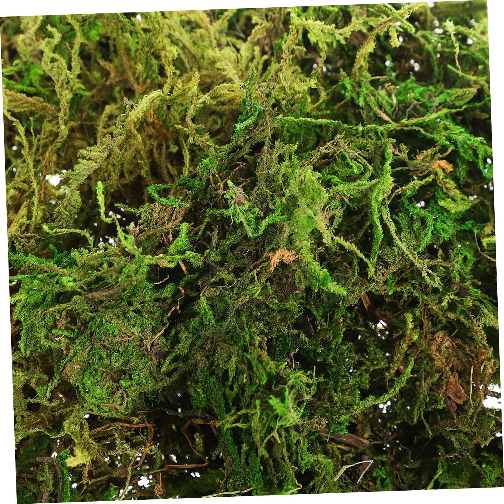 Unomor Decorative Craft Moss for Fake Plants Indoor Vibrant Green Faux Moss for Floral Arrangements Home Decor Creative Projects