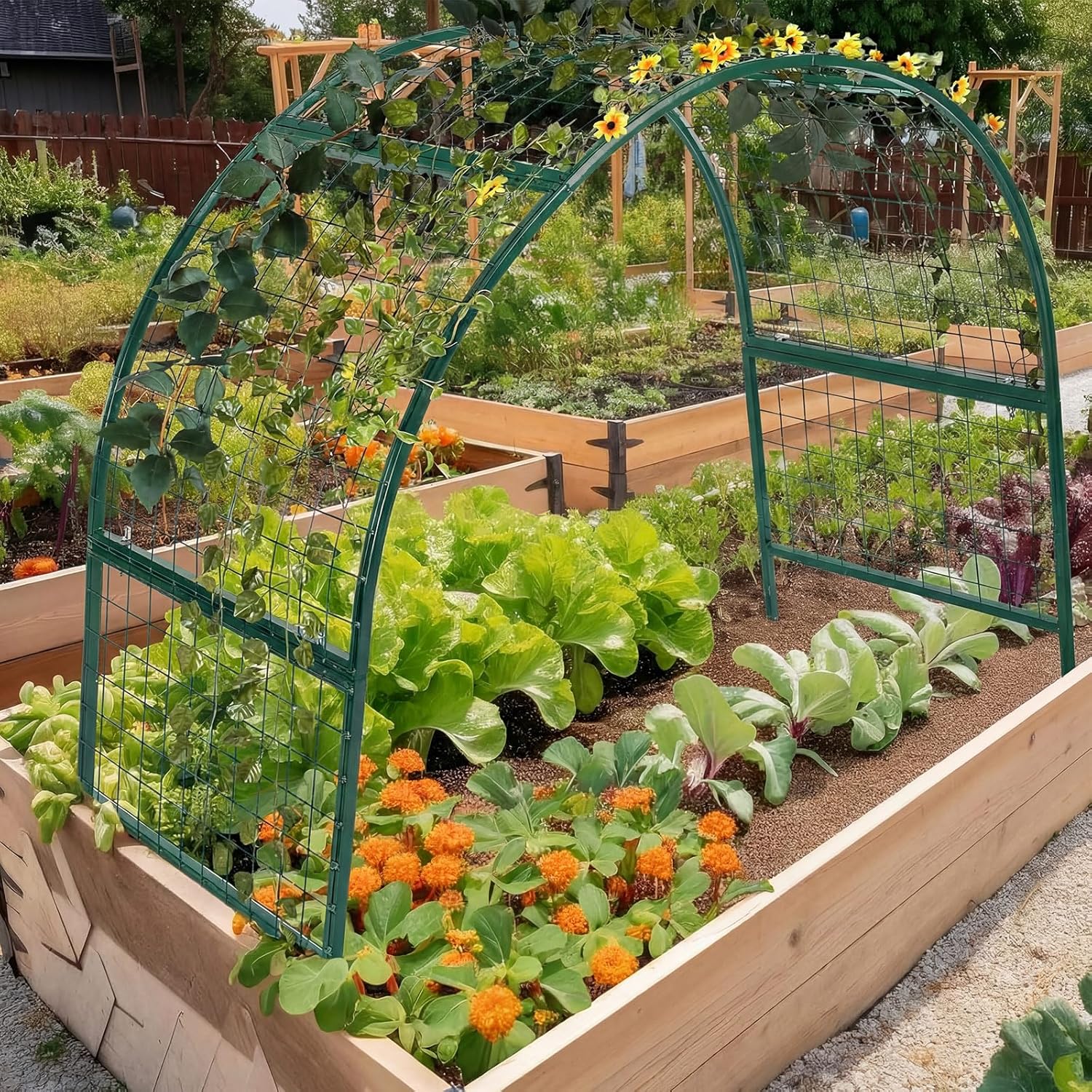 Arch Trellis for Planter Box Garden Wide Arbor Trellis Metal Arbor for Climbing Plants, Vegetables and Flowers Decorative Outdoor(Green,6 x 2 x 6 ft)