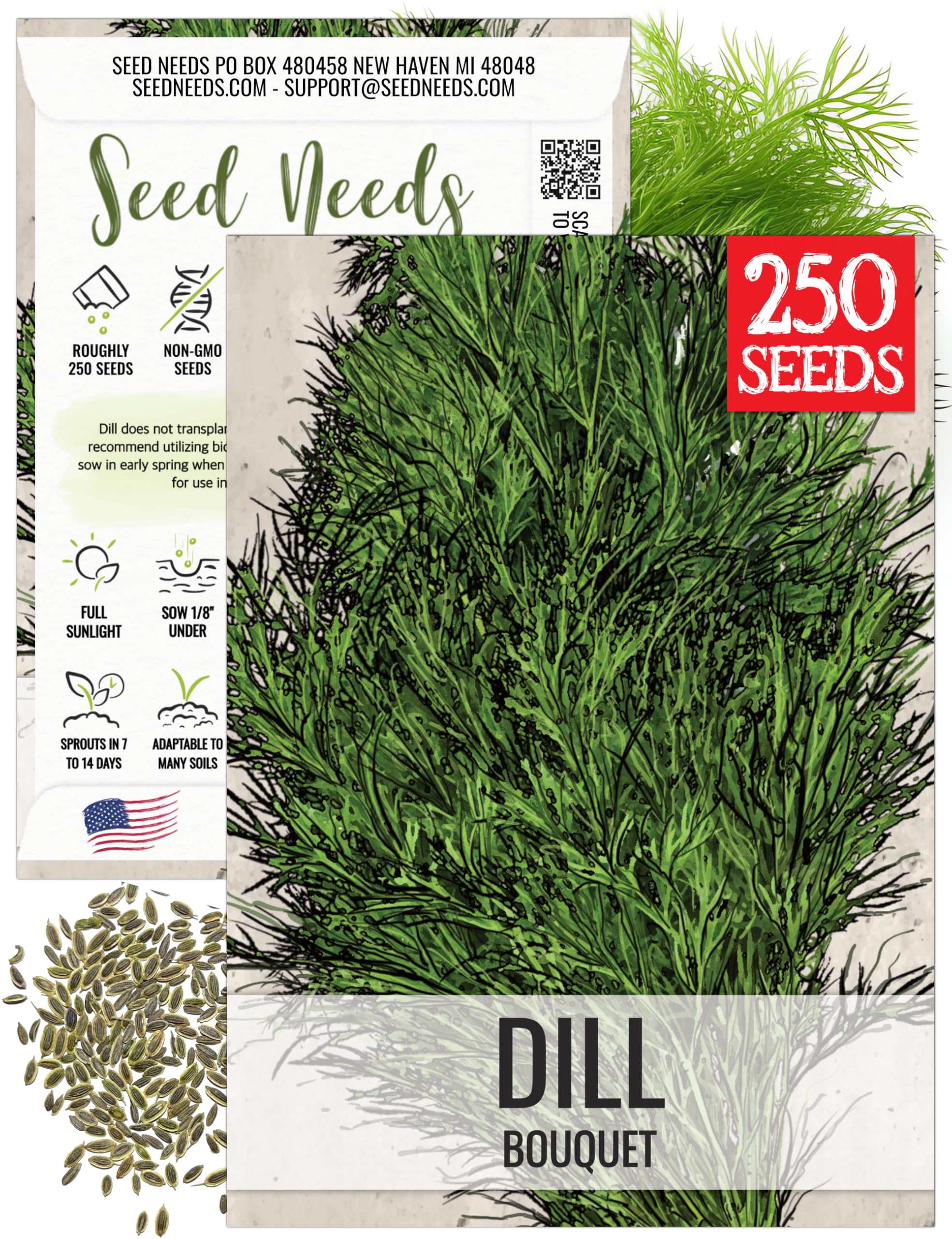 Amazon.com : Seed Needs Dill Seeds for Planting Bouquet Herbs - Non-GMO  Heirloom & Untreated Herb Seed to Plant a Home Grown Indoor/Outdoor Garden  (1 Pack) : Herb Plants : Patio, Lawn
