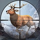 Fast Games Studio Ltd.