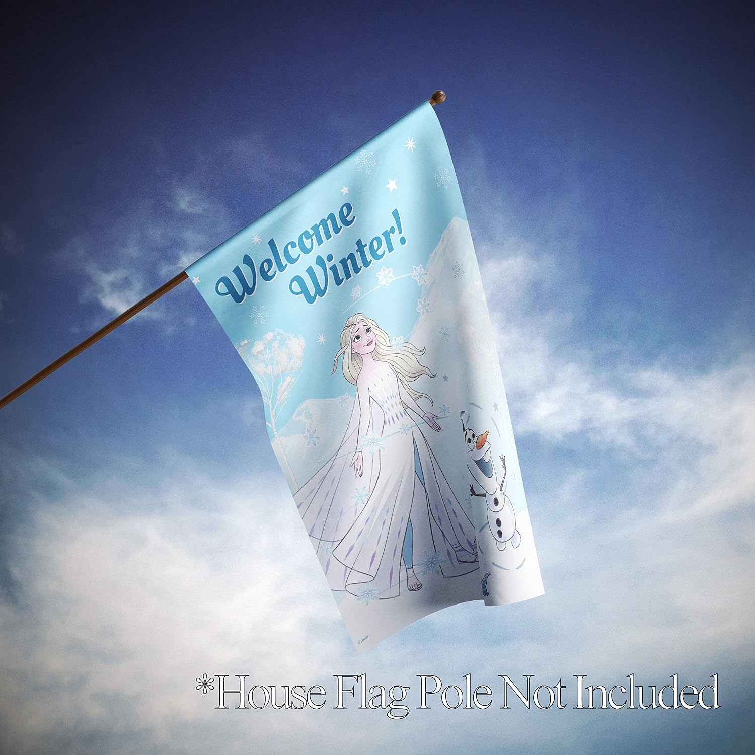 Flagology.com, Disney Welcome Winter Elsa & Olaf – House Flag 28" x 40", Exclusive Fabric, Officially Licensed Disney, Winter, Frozen