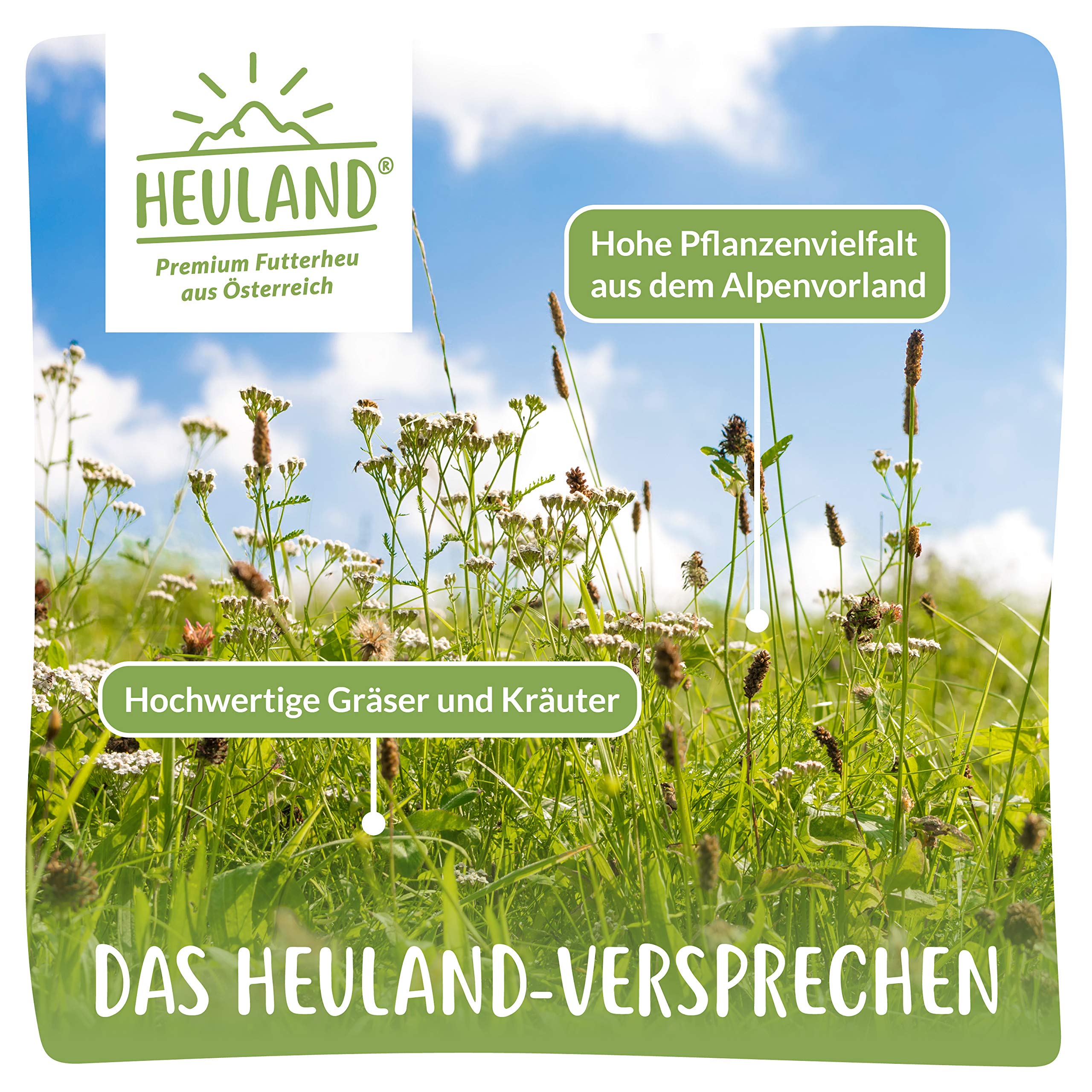 Premium Heu Bleib ma G´sund mit Kamille und Ringelblume (4X 500g) Frisches Bergwiesenheu für Kleintiere Kaninchen Hamster Streu Meerschweinchen Futter Nager Zwergkaninchen Hasen 2 Kilo