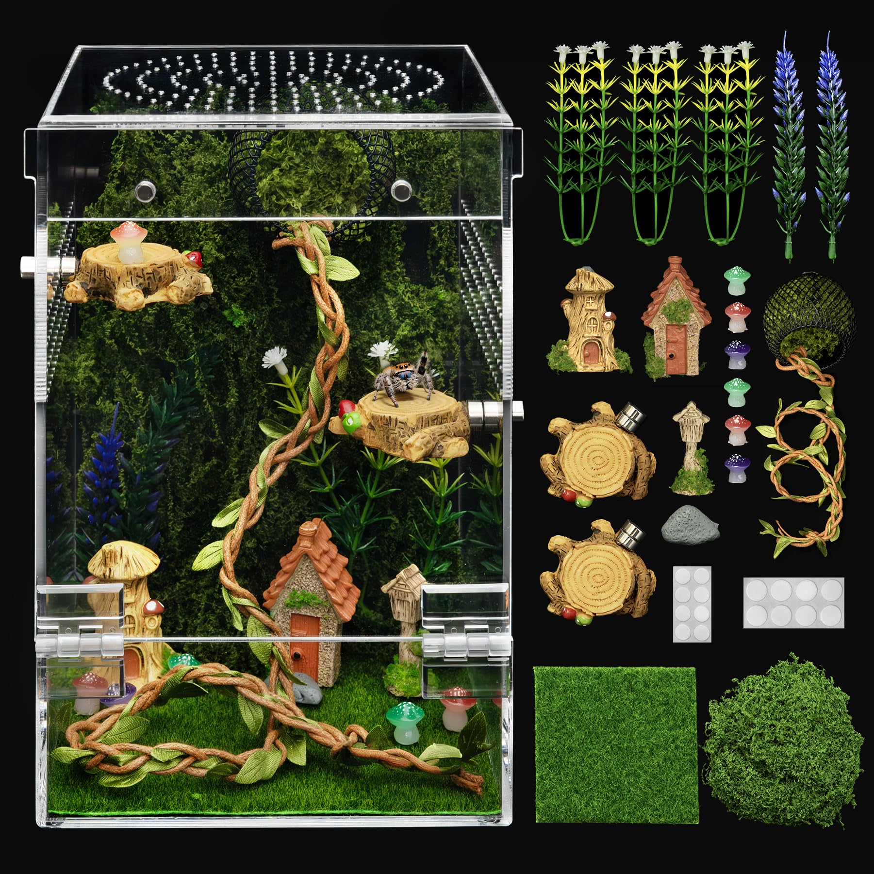Jumping Spider Enclosure Starter Kit,5 x 5 x 8 in Acrylic Terrarium