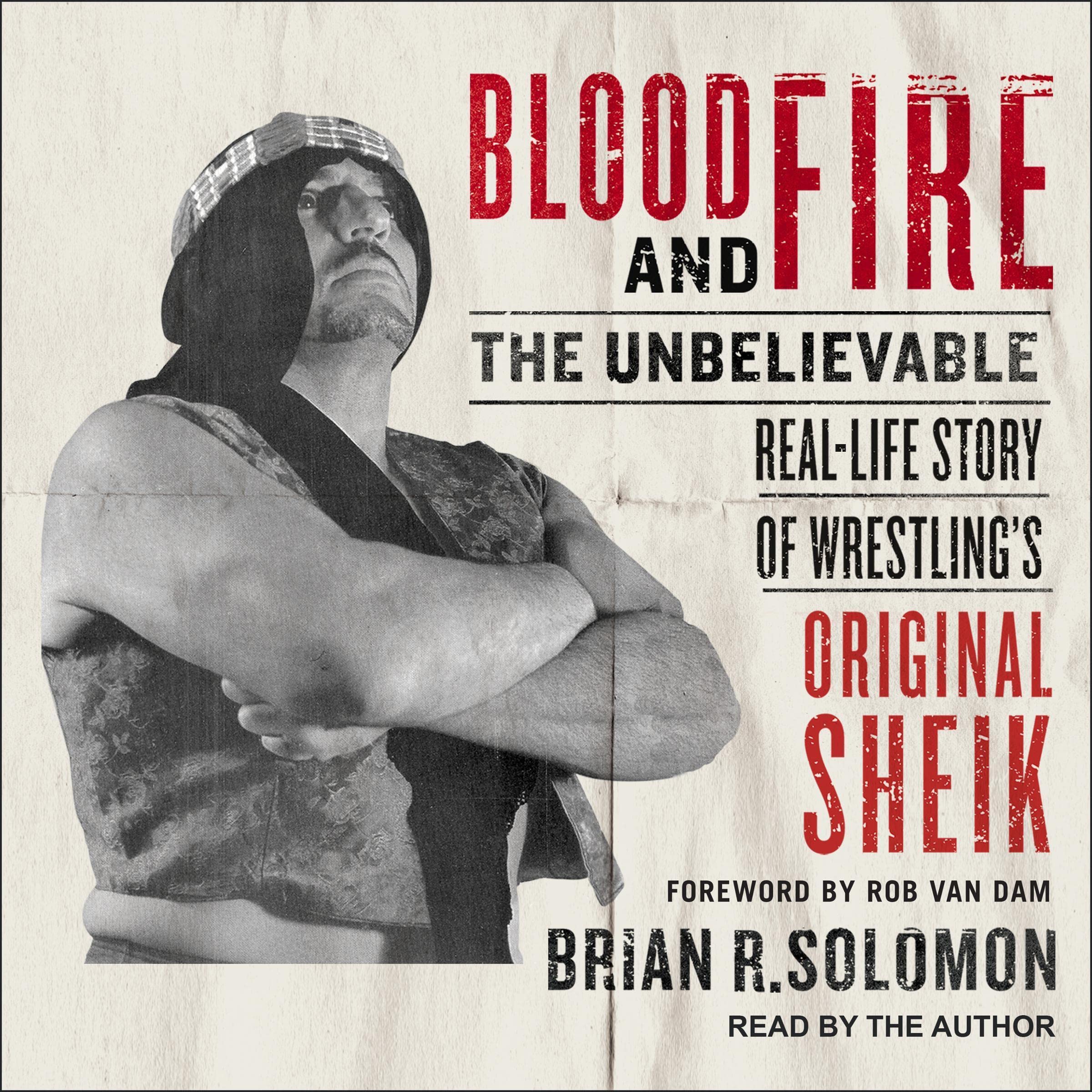 Cover art for Blood and Fire