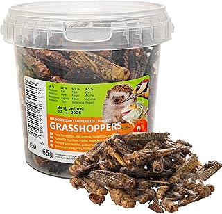 UGF Dried Grasshoppers 500 ml Bucket, Grasshopper Insects, Reptile Food, Rodent Food, Hedgehog Food, Lizard Food, Bird Feed, Wild Birds All Year Rod, Fish Food product image