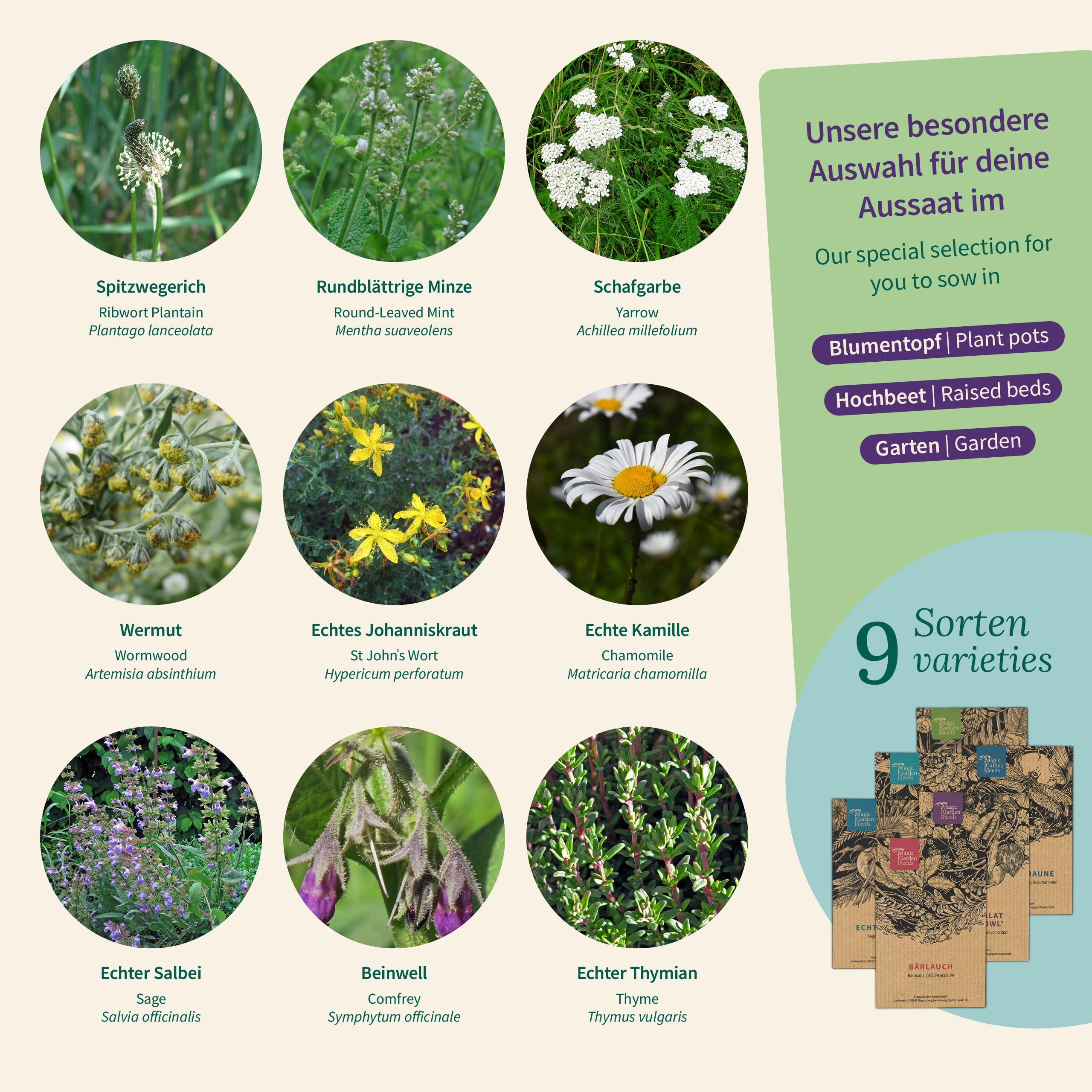 Magic Garden Seeds - Zestaw nasion "Kloster Zioła" – 9 sprawdzonych roślin leczniczych do domowej apteczki i ziół do herbaty – rumianek, ziele dziurawca, szałwia, tymianek i wiele innych – pudełko na
