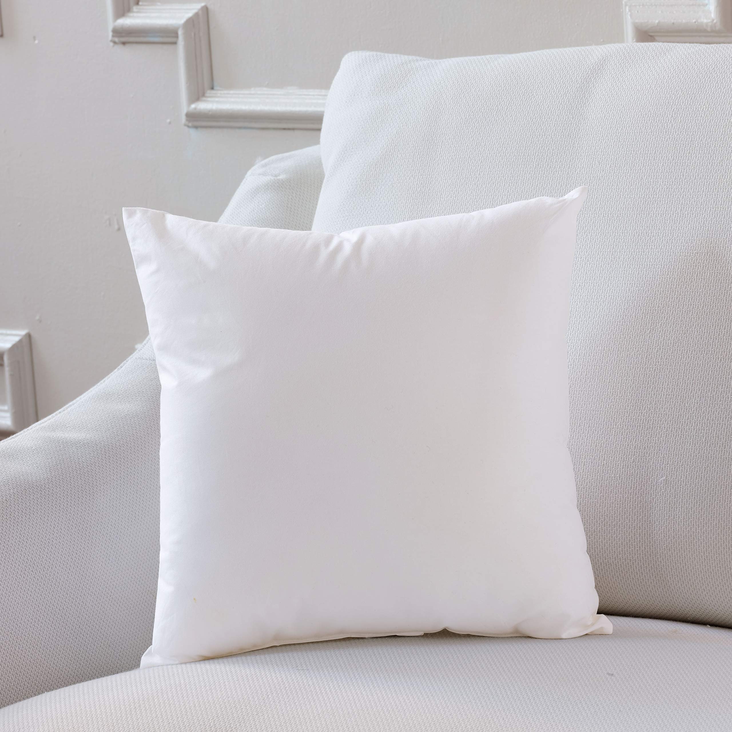 Plankroad Home Décor 10x10 Hypoallergenic Luxury 100% Small Feather Square Pillow Insert, 100% Cambric Cotton Shell, Never Vacuum-Packed, Odorless, Made in USA