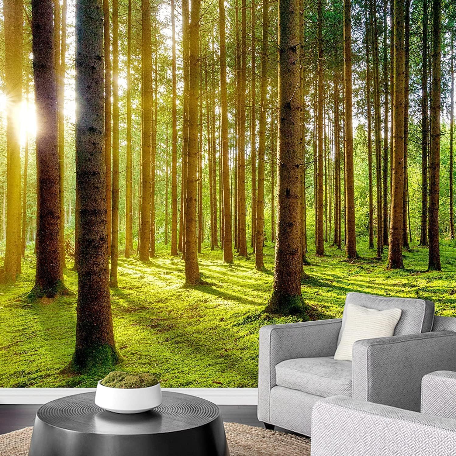 Papier peint mural 3D paysage amovible pour masquer un mur sans percer