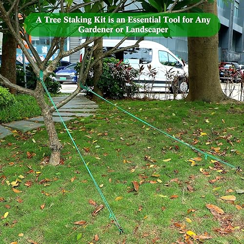 Miniatura 5 de Sintuff Juego de 36 estacas de árbol resistentes con estaca y soporte para enderezamiento de anclaje de árbol inclinado joven, correas de soporte de