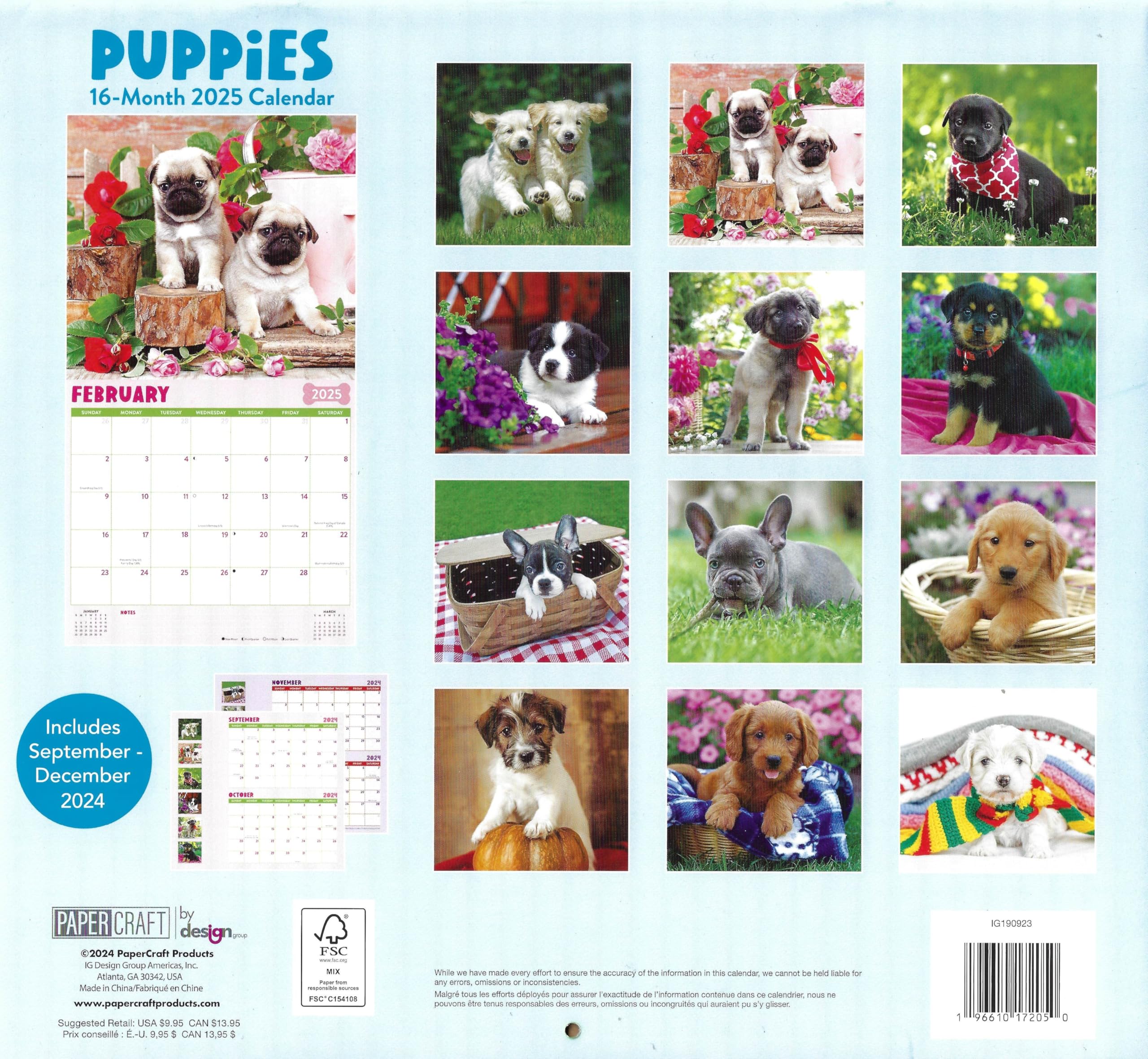 Garden Birds Calendar 2025 Square Birds Wall Calendar - 16 Onth