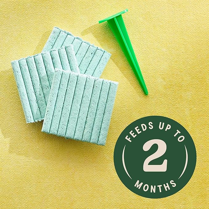 Miracle-Gro Espigas de Fertilizante para Plantas de Interior, 24 Unidades miniatura 3