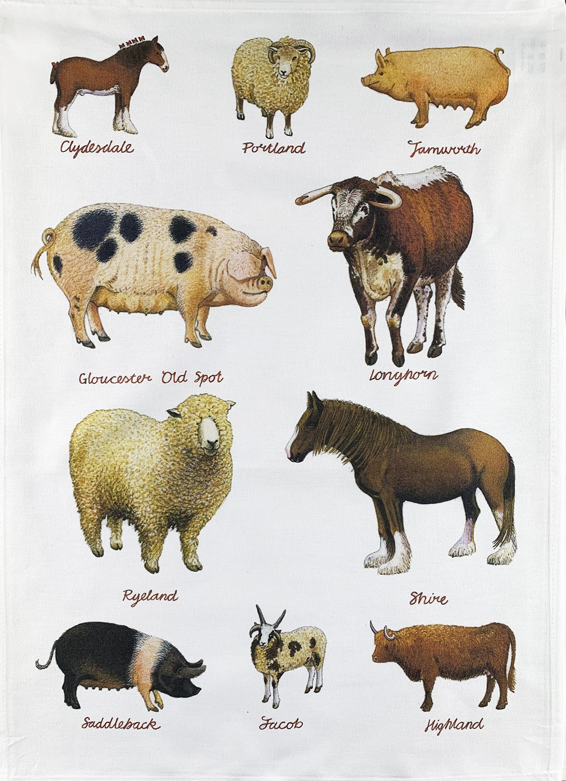 Half A Donkey White Rare Breeds Of Farm Animals Large Cotton Tea Towel
