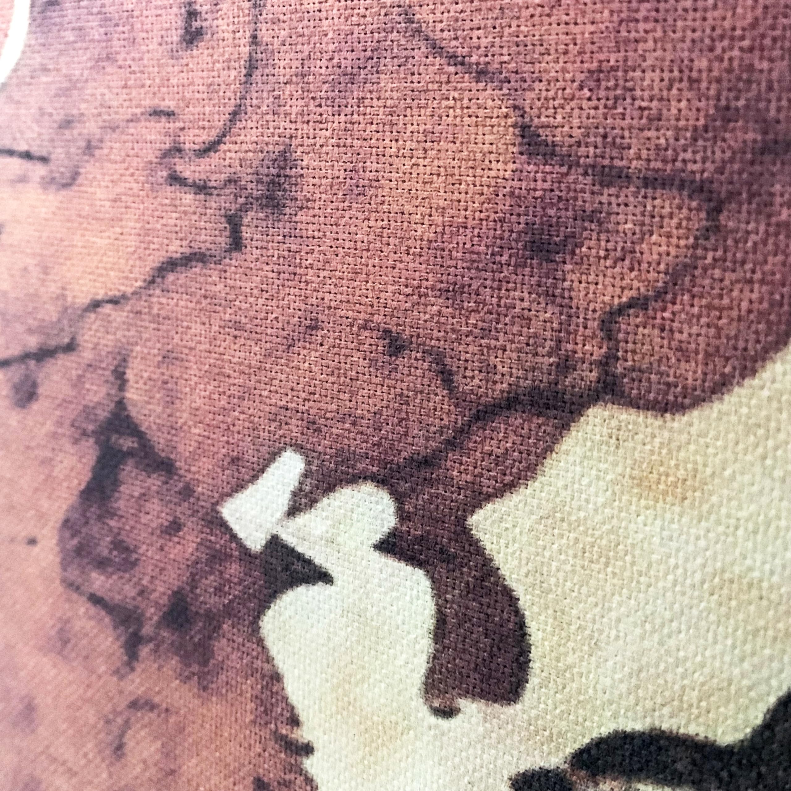 Mapa del Mundo Vintage - Impreso tela 370gr/m2 con textura/Lienzo - Mapamundi Tamaño 135x89,5cm - Mapa del Mundo Gigante con textos en inglés - Cuadro Mapa Mundi