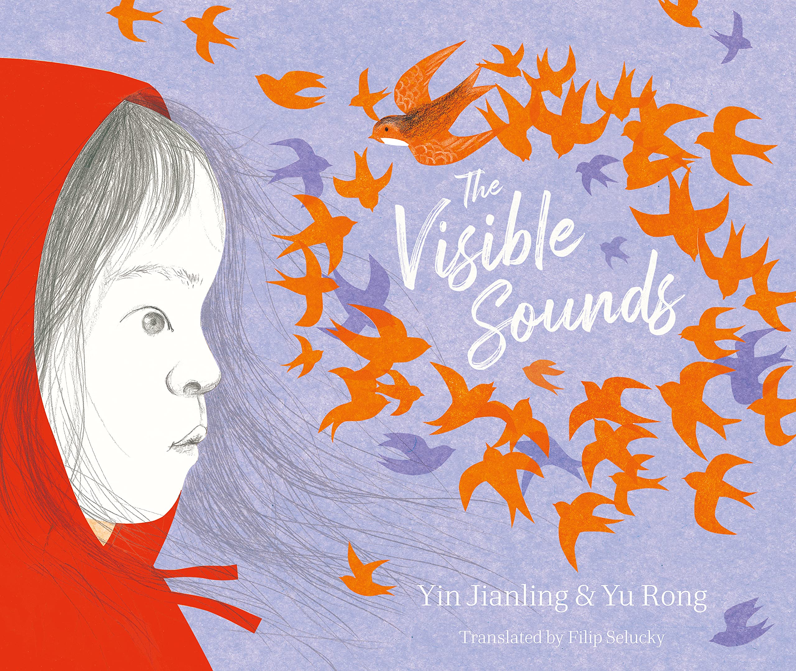 The Visible Sounds