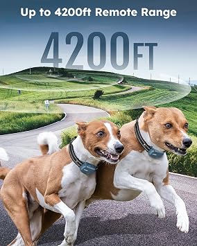 Training Collar for 2 Dogs, 4200FT Dog Shock Collar with Remote