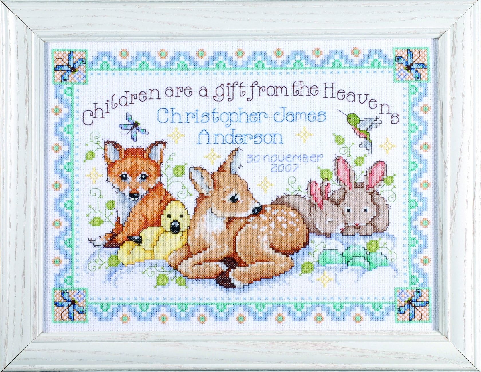 Amazon.com: Janlynn 14 Count Bug in a Rug Birth Record Counted Cross