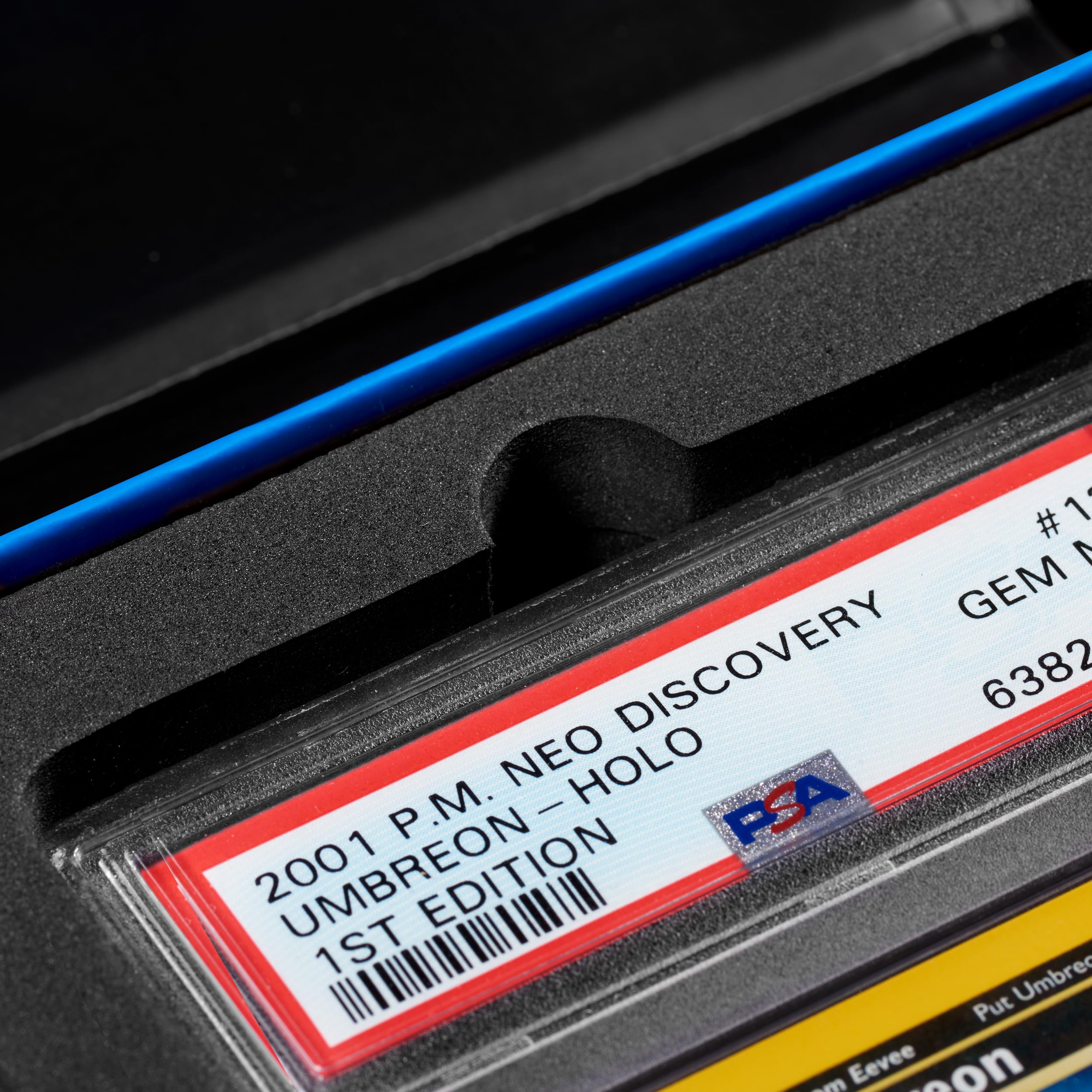 Amazon.co.jp: Collector Nine PSA/CGC ディスプレイギフトケース