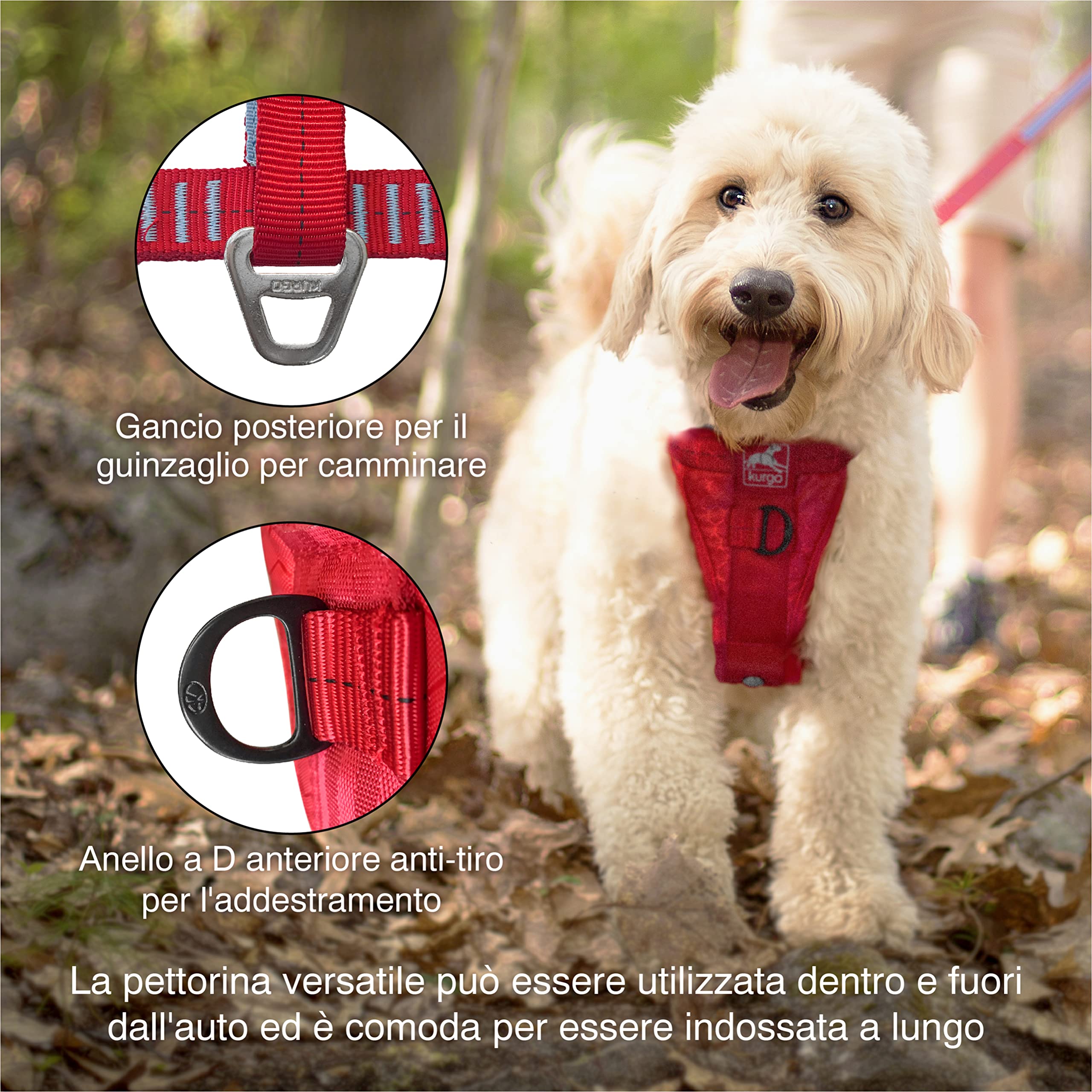 Kurgo Pettorina da auto per cani Tru-Fit per maggiore resistenza, imbracatura di sicurezza da viaggio per animali domestici, vestibilità certificata Crash Test, regolazione a cinque punti, fibbia di | Regolazione a Cinque Punti, Fibbia di Sicurezza