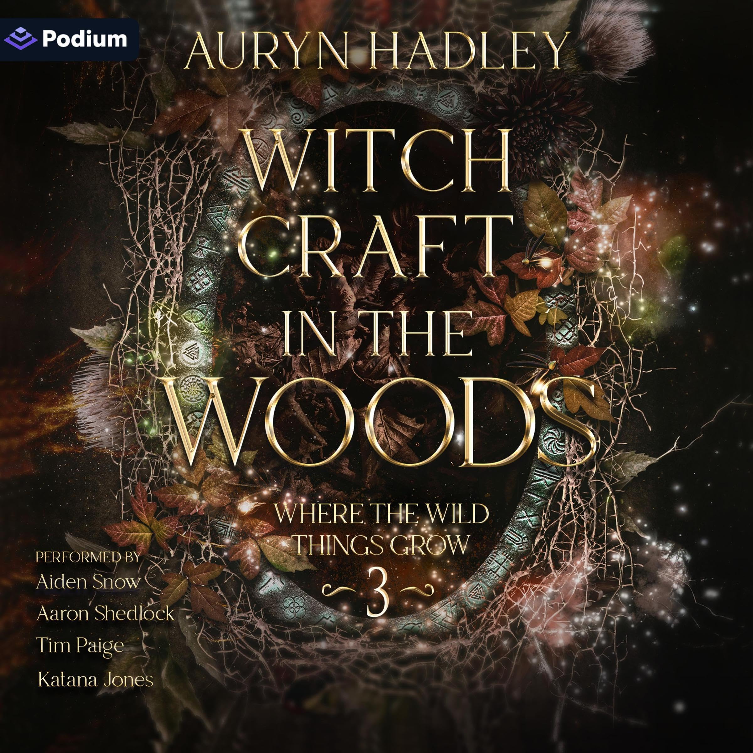 Cover art for Witchcraft in the Woods