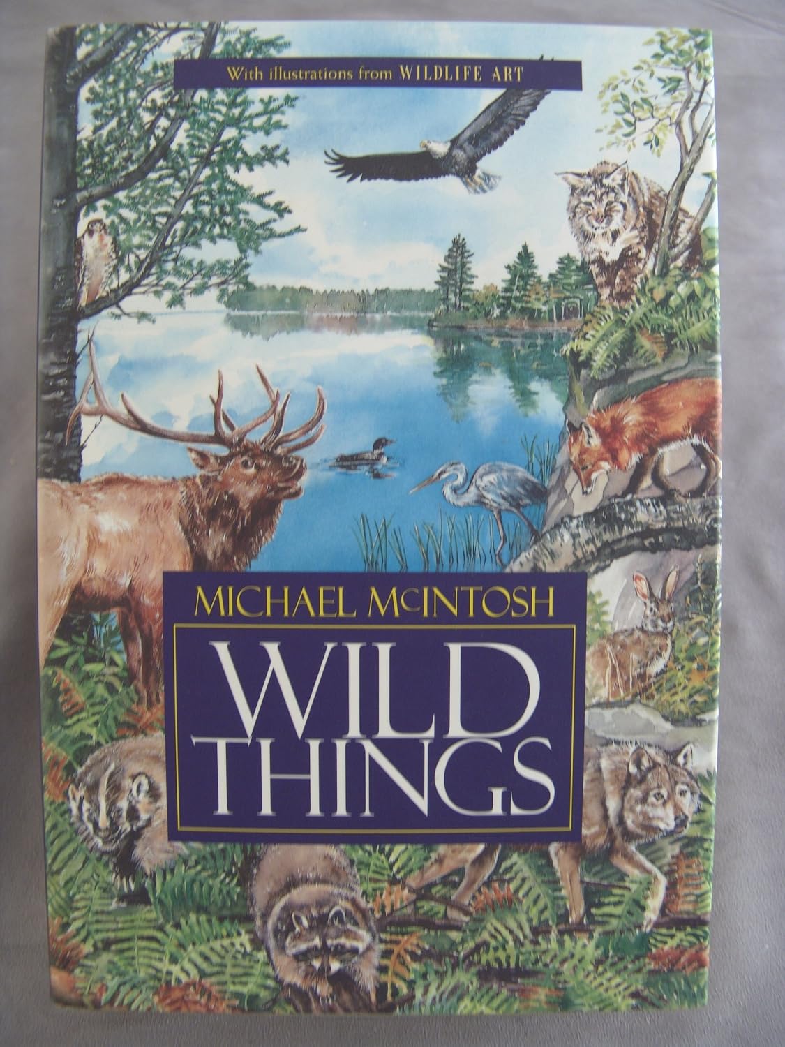 Wild Things