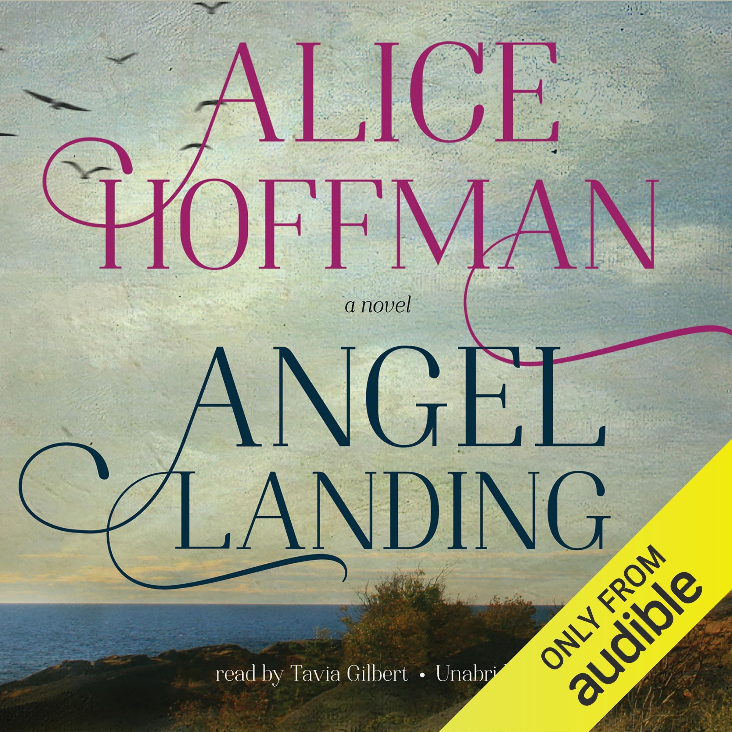 Cover art for Angel Landing